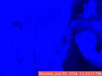 Img-20040705-1629170048