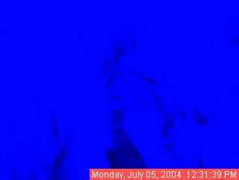 Img-20040705-1631390894