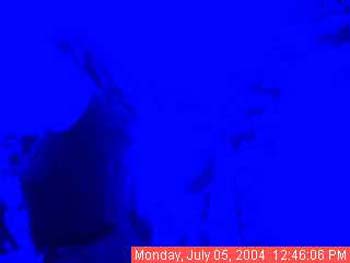 Img-20040705-1646060349