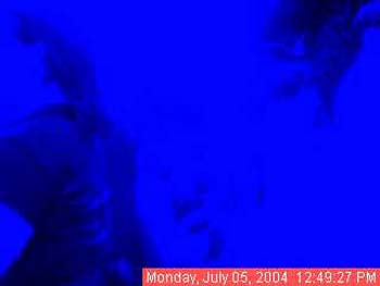 Img-20040705-1649270559