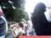 Img-20040705-1601000168